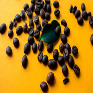 เมล็ดกาแฟอาราบิก้าคั่วบดคุณภาพสูง 100% บริสุทธิ์ เกรดพรีเมียม 1 กก. อายุการเก็บรักษา 24 เดือน นำเข้าจากกูร์การัต ราคาดีที่สุด ซื้อเลย - Product Image 2