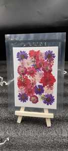 Feuilles de fleurs séchées naturelles pressées, couleurs mélangées, papier floral pour artisanat, bijoux en résine, bougies, savons, décoration DIY - Product Image 2