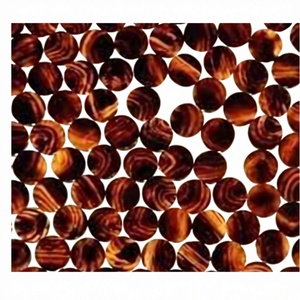 Botones a Presión Decorativos Redondos/Ovalados de Cuerno de Búfalo Ecológicos, Color Marrón, para Chaquetas Vaqueras, Personalizables, Más Vendidos - Product Image 1