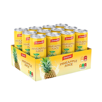 100% puur ananassap voor dranken. Gezonde en heerlijke fruit- en groentesapdranken.
