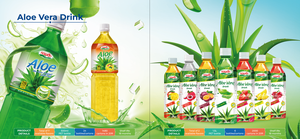 Jus d'Aloe Vera Premium Bio Faible en Gras avec Pulpe Fraîche 500ml Bouteille PET OEM Marque Privée pour Rafraîchissement Quotidien - Product Image 3