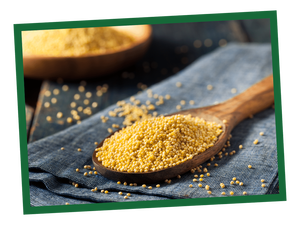 Millet jaune cultivé en Autriche pour l'alimentation des oiseaux, qualité alimentaire pour oiseaux, pureté minimale 98%, humidité maximale 14%, complété par des variétés blanches et vertes - Product Image 3