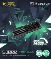 AITC KINGSMAN Internal M.2 2280 SSD PCIe Gen5 2TB DRAM Cache dengan Kecepatan Baca/Tulis 14000/13000MB/s untuk PC Gaming Desktop