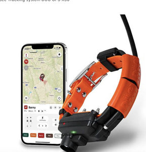 NOUVEAU Système de suivi GPS avancé Alpha 300/300i et système d'entraînement pour animaux de compagnie, traceur portable pour animaux avec collier T20, prêt à être expédié - Product Image 2