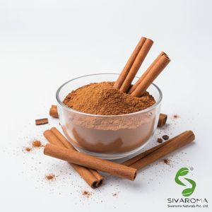 Extracto de Canela en Polvo de Alta Pureza, Ideal para Formulación de Sabores a Gran Escala y Aplicaciones de Desarrollo de Productos Comerciales - Product Image 1