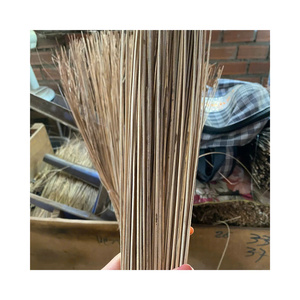 Venta al por mayor de palos de escoba de coco VIGI FARM de Vietnam, 24 meses de vida útil, limpios y secos, listos para la producción - Product Image 1