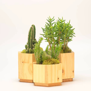 Jardinière surélevée en bois profond et personnalisable pour la culture de légumes racineux, tomates et poivrons - Product Image 1