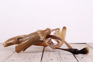 Pieza Decorativa de Cuerno de Búfalo, Elegante Artículo Decorativo Hecho a Mano para Exhibición en Sala de Estar, Pieza Decorativa de Cuerno Natural - Product Image 3