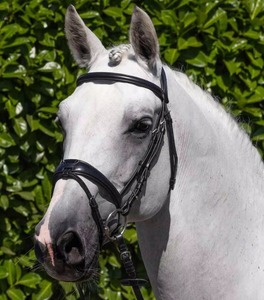 Cabestro Premium para Caballo con Cuerda de Amarre Incluida, Cabestro Completo para Entrenamiento Equino, Cabestro Ajustable para Pastoreo - Product Image 5