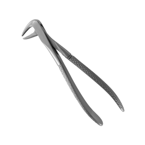 Proveedor Mayorista con MOQ Bajo y Servicio OEM, Fórceps Dentales de Alta Precisión para Extracción de Dientes de Animales, Venta al Por Mayor - Product Image 4