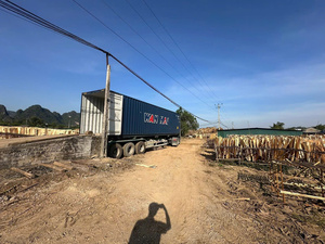 Placage de bois de caoutchouc du Vietnam 100 % naturel, coupé rotativement, écologique et durable pour la fabrication de contreplaqué - Product Image 4