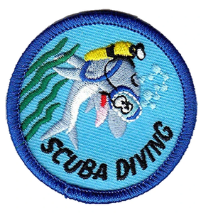 Écussons brodés sportifs personnalisés, logo d'équipe, thermocollants pour uniformes, logo personnalisé, OEM ODM, vente en gros, fournisseur d'usine, qualité supérieure, sur mesure - Product Image 5