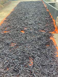 HIGH GRADE Honey Locust Dried Fructus Gleditschiae From Vietnam - Product Image 2