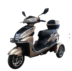 Tricycle électrique haut de gamme pour adultes avec marchepied arrière en alliage d'aluminium de luxe - Product Image 3