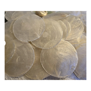Wholesale Capiz Shell Discs Natural <b>Clear</b> Seashell Material for Decorative Accessories and Home Furnishing - Product Image 4