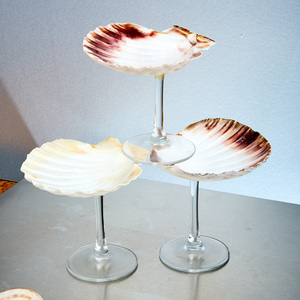 Verres à cocktail en coquillages marins du Vietnam, verres à shot en coquillages marins, articles de bar, cadeau, meilleure réduction - Product Image 1
