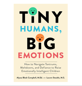 Humanos Pequeños, Grandes Emociones — Una Guía de Parenting Amigable para Comprender los Sentimientos de los Niños y Fomentar el Desarrollo (Suministro al por Mayor) - Product Image 3