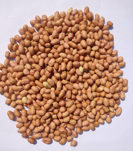 ถั่วลิสงดิบราคาถูก ขนาดใหญ่พิเศษ สดใหม่ จำนวนมาก ออร์แกนิค - Product Image 6