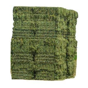Best Price Bulk Alfalfa Hay Grass Bales For Cattle Feed - Product Image 6