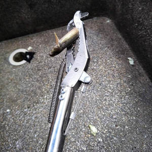 Pinzas de Agarre Tipo Cocodrilo para Cirugía, Instrumentos Quirúrgicos Manuales, Nuevo Diseño en Oferta - Product Image 3