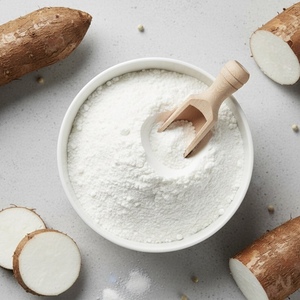 Vedan RT-90 Amidon riche en fibres alimentaires |   Ingrédient d'amidon résistant fonctionnel pour les applications alimentaires saines et riches en fibres - Product Image 2