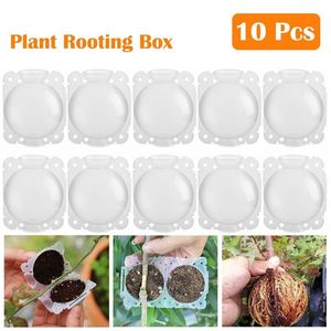 Smart Grow Graft Box High Pressure Propagation Ball for Plant Rooting High-tech Pots & Planters - Product Image 1