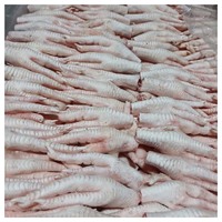 Pattes de poulet congelées, pattes de poulet transformées du Brésil, pattes et pieds de poulet congelés de qualité A