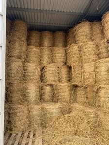 Rouleaux de paille vietnamiens de qualité supérieure Solution durable et écologique pour diverses applications - Product Image 5