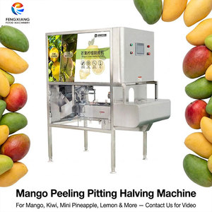 Machine à peler, dénoyaouter et diviser les mangues FXP-M8 pour mangues, kiwis, mini-ananas, citrons - Équipement automatique de transformation des fruits - Product Image 1