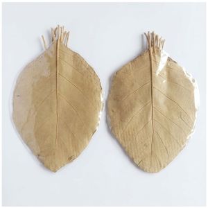Natural <b>Dried</b> Teak Leaves 26-30 CM /10 TO 11 Inches in Size for Aquarium Pack of 20 Leaves - Product Image 1