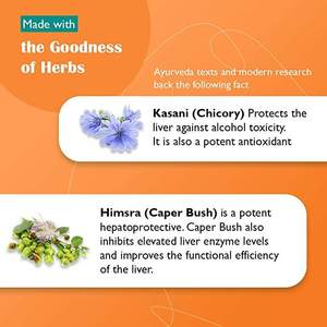 Natural <b>Liver</b> Support Tablets for Hepatoprotective Benefits and Appetite Stimulation Daily Wellness Dietary <b>Supplement</b> - Product Image 3