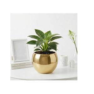 Modern Brass Planter Pot Circular Design Brass Planter Pot <b>Desktop</b> Planter For Indoor Plants Best Price - Product Image 2