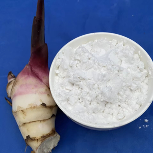 Amidon de racine d'arrowroot biologique de qualité supérieure, goût naturel, pour aliments et ingrédients, emballé en sachet, provenant du Vietnam - Product Image 1