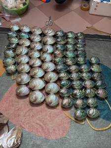 <b>Abalone</b> <b>Shell</b> Jewelry Box Organizer Elegant Luxury <b>Abalone</b> Jewelry Organizer Storage for Rings Earrings Necklace Royal Style - Product Image 4