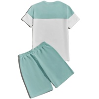 Conjuntos Deportivos de Verano para Hombre 2026, Personalizados al por Mayor, Casuales, Ecológicos, de Dos Piezas, Camiseta y Pantalones Cortos de Algodón