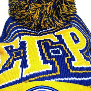 หมวกบีนนี่ Sigma Gamma Rho แบบยูนิเซ็กซ์ ถักนิตติ้งสำหรับฤดูหนาว อุ่นสบาย ขอบหมวกยืดหยุ่น หมวกทรงสกัลแคป สไตล์ลำลอง แฟชั่นสตรีทแวร์ สำหรับชมรมนักศึกษา  สามารถสั่งทำได้ - Product Image 3