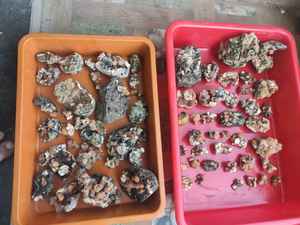 Belle boule naturelle de thomsonite rouge avec un lot de minéraux de stilbite - Product Image 1