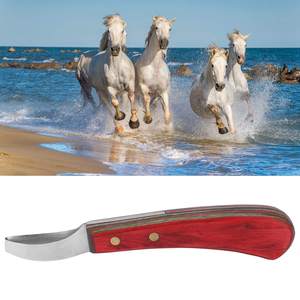 Cuchillo de Herrador Japonés Multicolor Hecho a Mano de Acero Inoxidable para Pezuñas de Caballo, Pequeño Instrumento Veterinario, Cuchillos de Bucle de LCI - ¡Gran Oferta! - Product Image 6