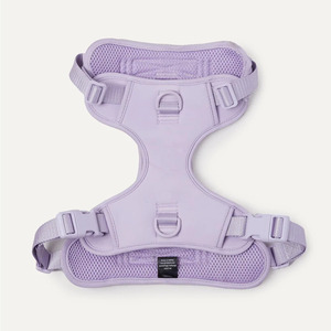 Webbing Y-shaped Chest Strap Dog Leash, Waterproof, Adjustable Dog <b>Harness</b>, Soft And Durable For Pet Walking - Product Image 2