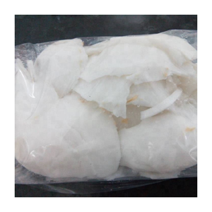 Pulpe de noix de coco blanche naturelle surgelée du Vietnam – Fournisseur fiable d'exportation de viande de noix de coco IQF - Product Image 1