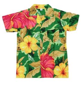 Breathable Linen Cotton Casual Print <b>Shirt</b> Men Summer Use Lightweight <b>Half</b> Sleeve Quick Dry High Quality at Best Price Exporter - Product Image 5