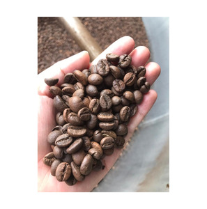 เมล็ดกาแฟอาราบิก้าคุณภาพพรีเมียม พร้อมส่ง ขายส่ง ปริมาณมาก ส่งออก คุณภาพดีที่สุด - Product Image 3