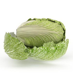 ใหม่พืชผักชีฝรั่งกะหล่ำปลีสด - Product Image 4