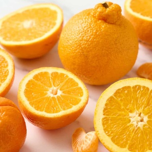 Naranjas, mandarinas y tangerinas frescas de alta calidad a precio de fábrica en venta |   Cítricos de Primera Calidad a Bajos Precios Austria - Product Image 1
