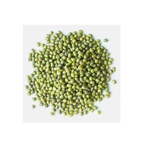 Haricots Mungo Entiers Séchés les Plus Vendus pour la Cuisine Asiatique et la Préparation de Repas Sains, Disponibles à Prix d'Exportation - Product Image 6