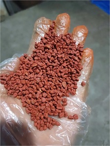 Graines d'annatto séchées de haute qualité pour assaisonnement des fruits de mer, sauces curry et arômes de riz - Product Image 2