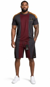 Ensemble de vêtements d'été pour hommes, t-shirt à manches courtes en tissu flexible et short assorti pour l'entraînement et la mode décontractée - Product Image 3