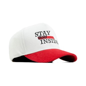 Casquettes de baseball en maille Oxford respirante et imperméable, 5 panneaux, vierges, de haute qualité, avec logo brodé 3D personnalisé, vente en gros - Product Image 2