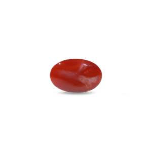 Loose Certified Natural Japanese Red Coral Gemstone-5.1 Carat Wholesale Quality - Product Image 2