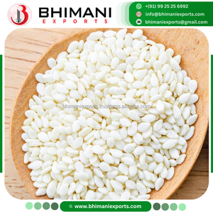 Semillas de Sésamo Descascarilladas Blancas de Alto Contenido de Aceite, Limpieza Sortex, Grado Panadería, Certificación APEDA, Empaque a Granel, Extracción de Aceite, Sin OGM - Product Image 3